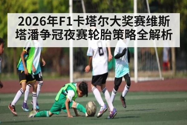 2026年F1卡塔尔大奖赛维斯塔潘争冠夜赛轮胎策略全解析